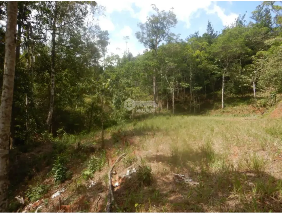 Building Lot for sale in Cerro Azul
