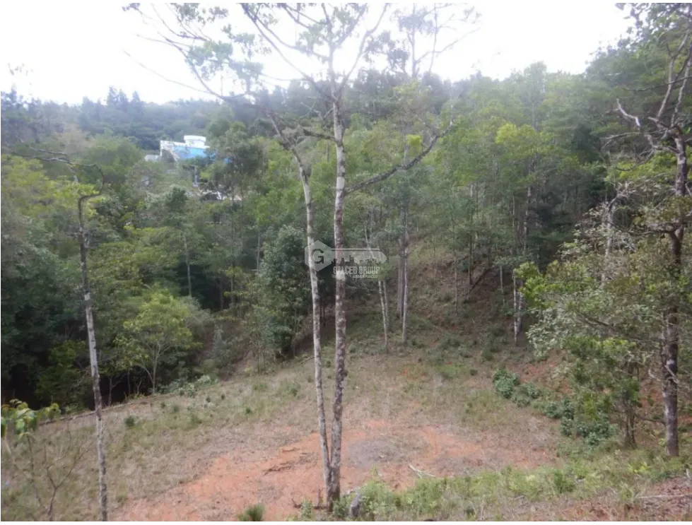 Building Lot for sale in Cerro Azul