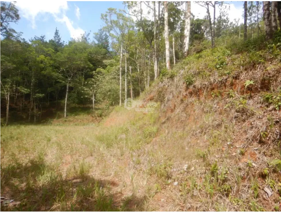 Building Lot for sale in Cerro Azul