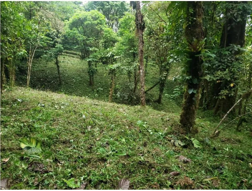 Terrain à bâtir à Chame à vendre