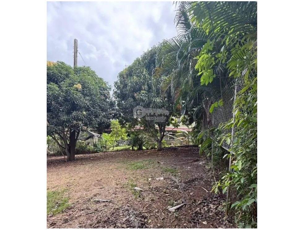 CLAYTON / 876M / FLAT LAND / R2D1 ZONING / ON MAIN ROAD