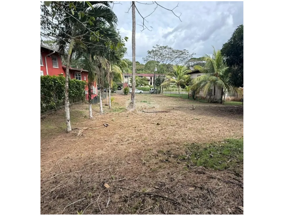 CLAYTON / 876M / FLAT LAND / R2D1 ZONING / ON MAIN ROAD
