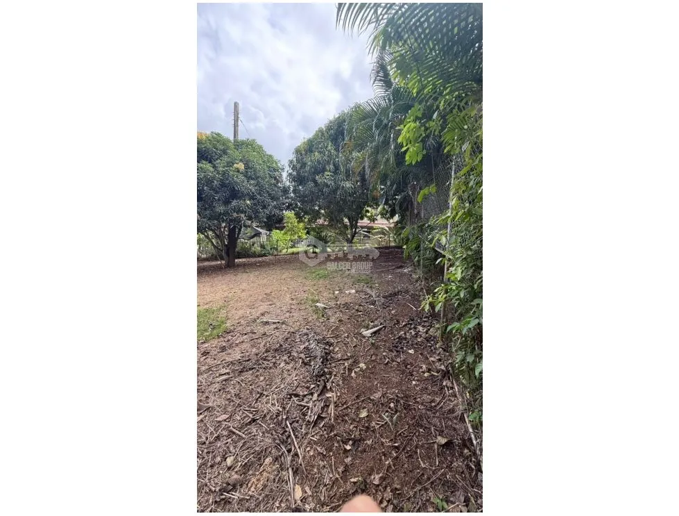 CLAYTON / 876M / FLAT LAND / R2D1 ZONING / ON MAIN ROAD