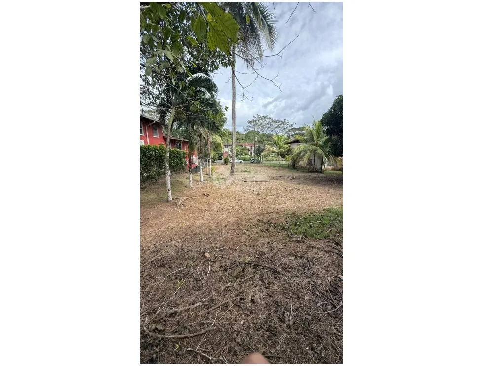CLAYTON / 876M / FLAT LAND / R2D1 ZONING / ON MAIN ROAD