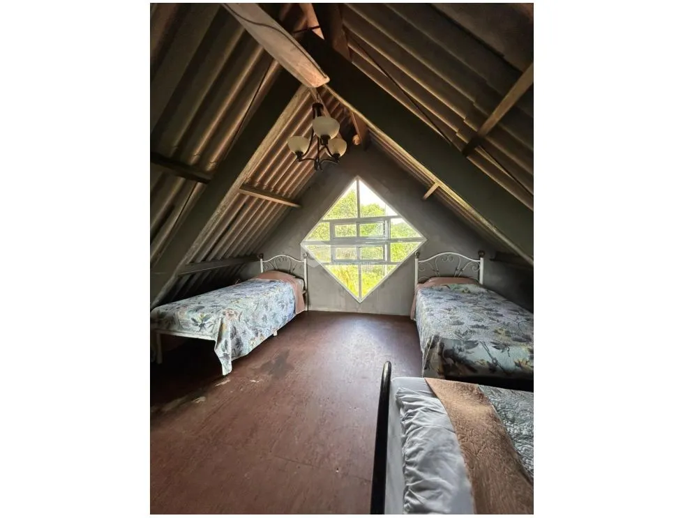 Terre / Ferme à Cerro Azul à vendre