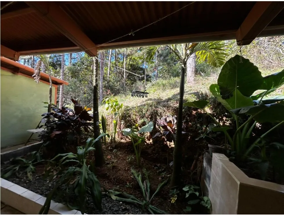 Terre / Ferme à Cerro Azul à vendre