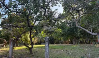 Building Lot for sale in Santa Clara