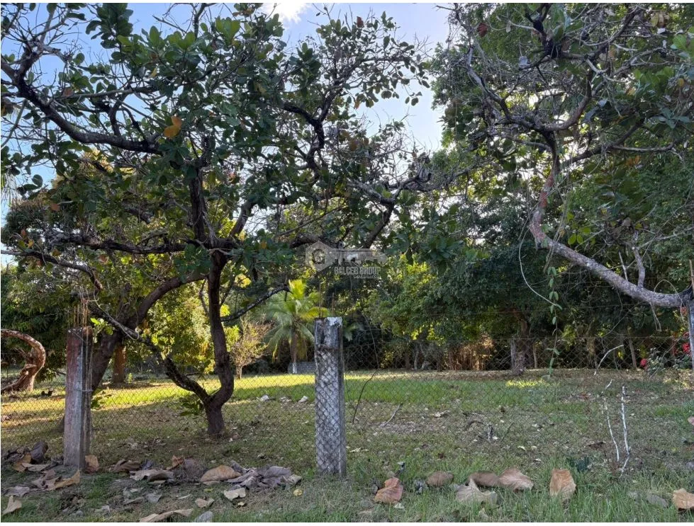 COCLE / SANTA CLARA / LAND / 5000 M / ON THE ROAD / FENCED / AG