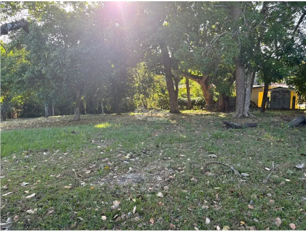 COCLE / SANTA CLARA / LAND / 5000 M / ON THE ROAD / FENCED / AG