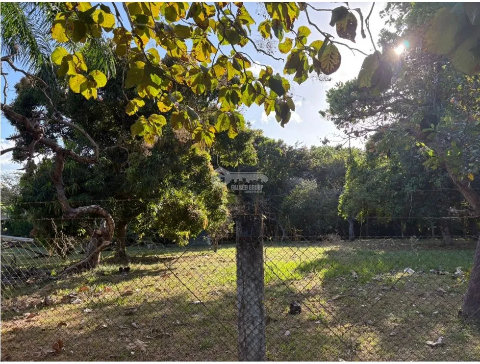 COCLE / SANTA CLARA / LAND / 5000 M / ON THE ROAD / FENCED / AG