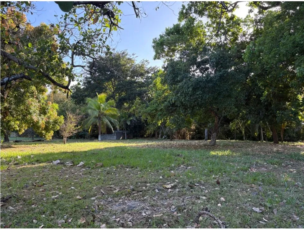 COCLE / SANTA CLARA / LAND / 5000 M / ON THE ROAD / FENCED / AG
