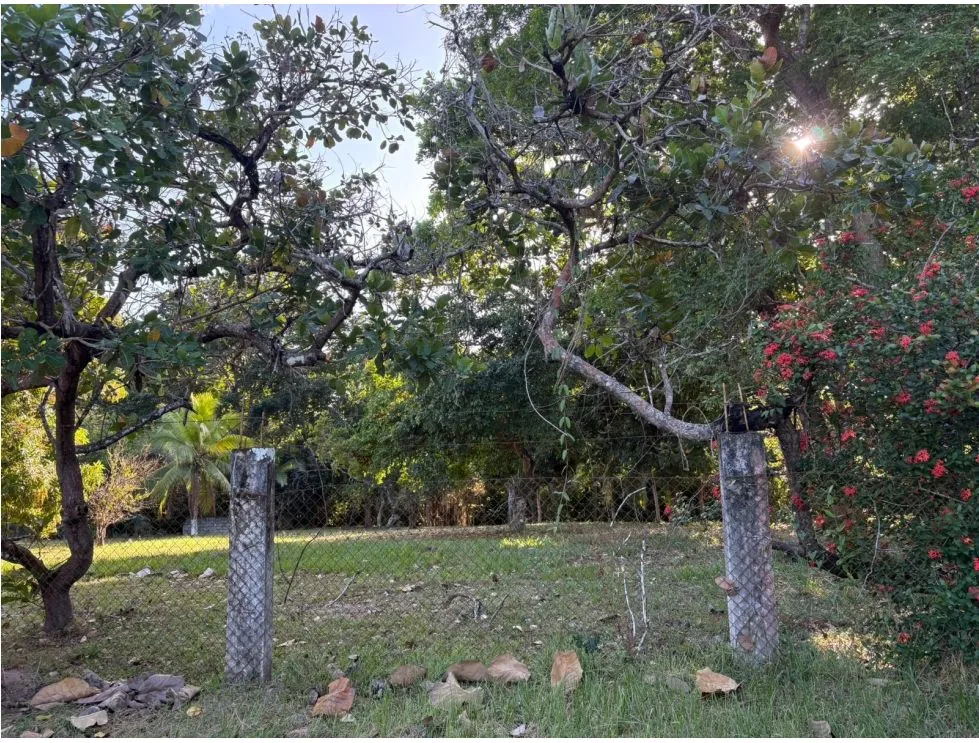COCLE / SANTA CLARA / LAND / 5000 M / ON THE ROAD / FENCED / AG