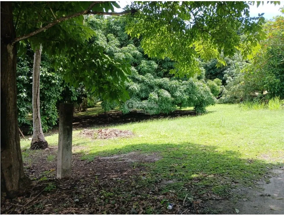 SAN CARLOS / COSTA ESMERALDA / 1045 M / FLAT LAND / BEACH / AG