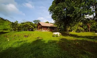 Terre / Ferme à 24 de Diciembre à vendre