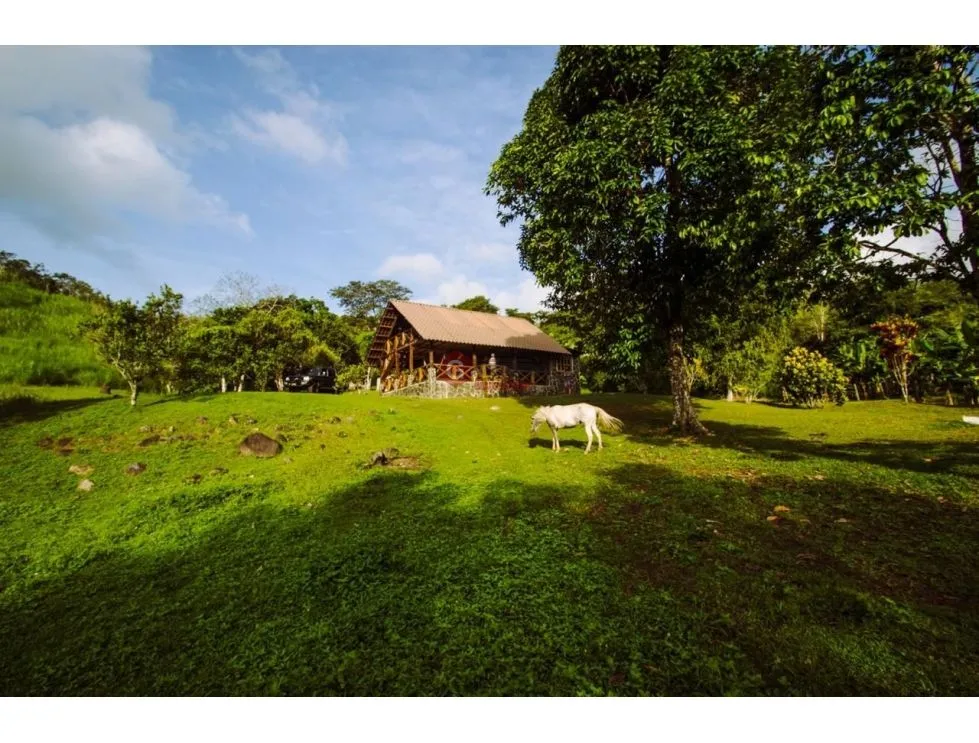 Terre / Ferme à 24 de Diciembre à vendre