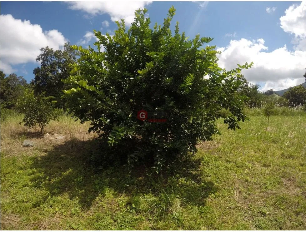 Terre / Ferme à 24 de Diciembre à vendre