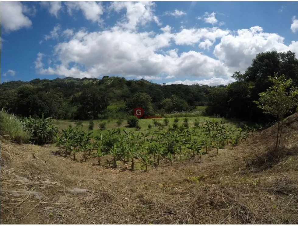 Terre / Ferme à 24 de Diciembre à vendre