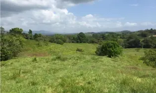 Terre / Ferme à Buena Vista à vendre
