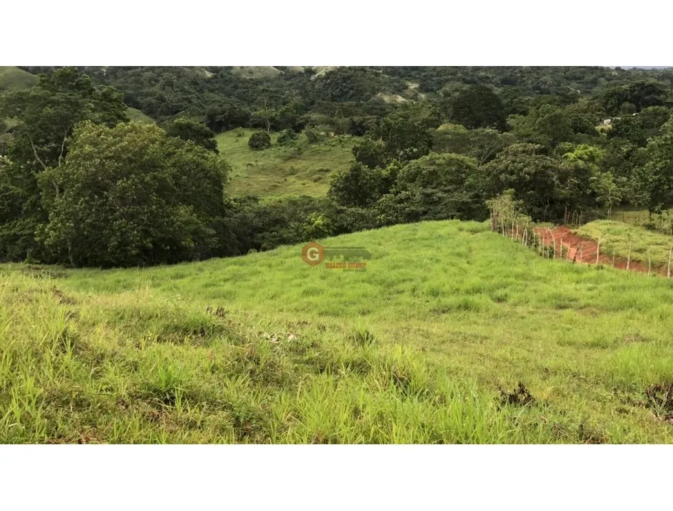 Terre / Ferme à Buena Vista à vendre