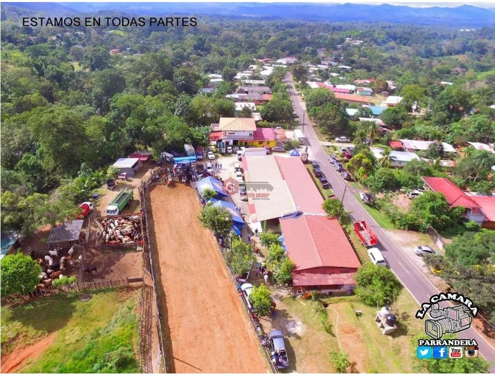Terre / Ferme à Buena Vista à vendre
