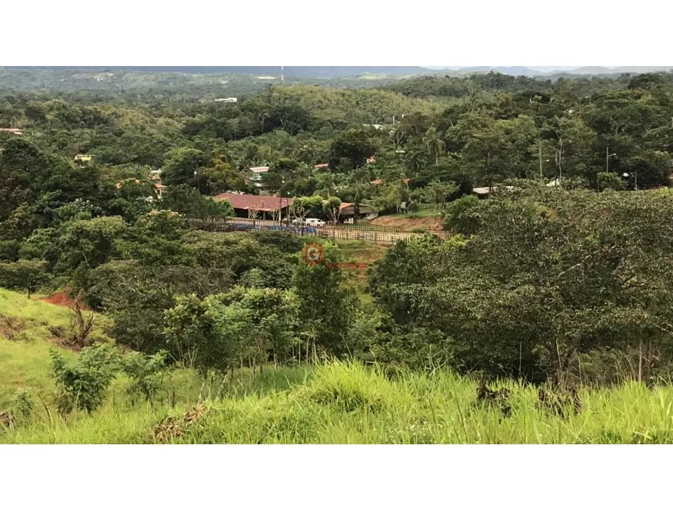 Terre / Ferme à Buena Vista à vendre