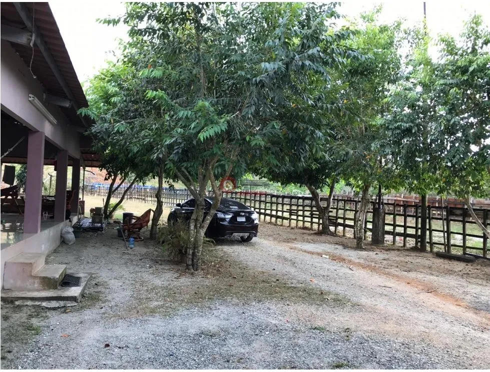 Terre / Ferme à Buena Vista à vendre