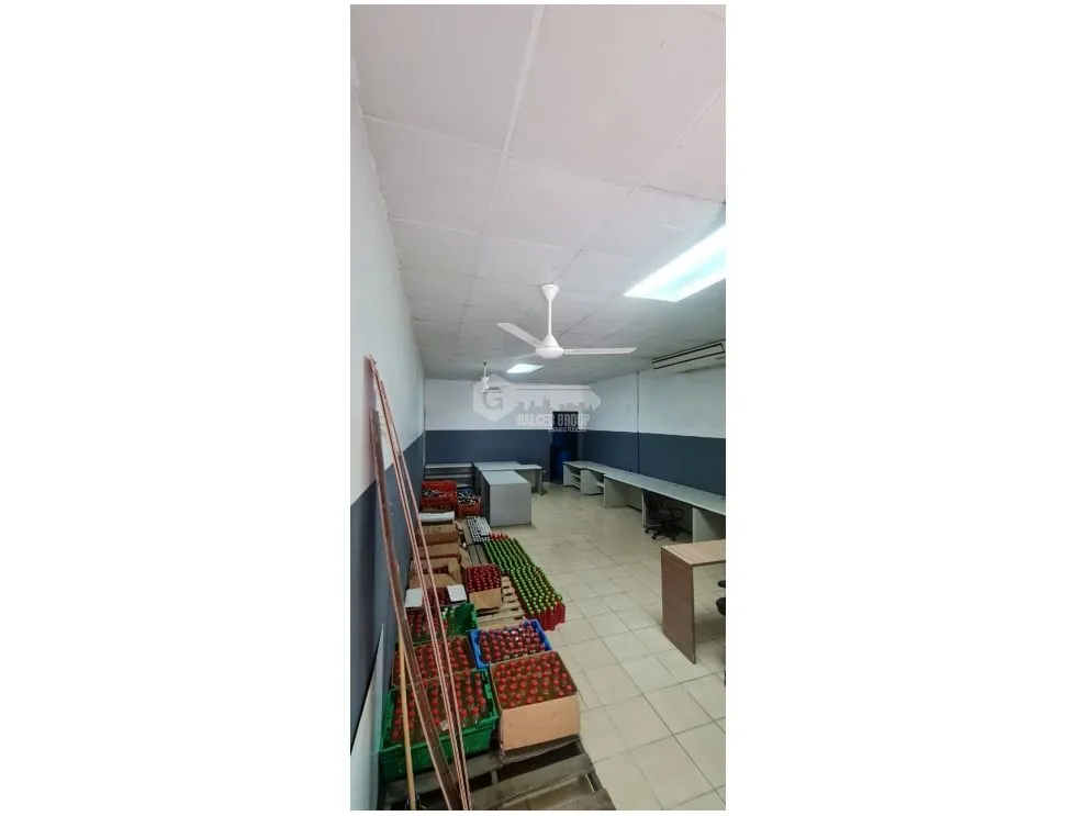 LOCAL COMERCIAL BETANIA / SOBRE VIA PRINCIPAL / 636M2