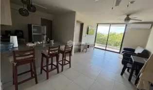 Apartment for rent in San Carlos
