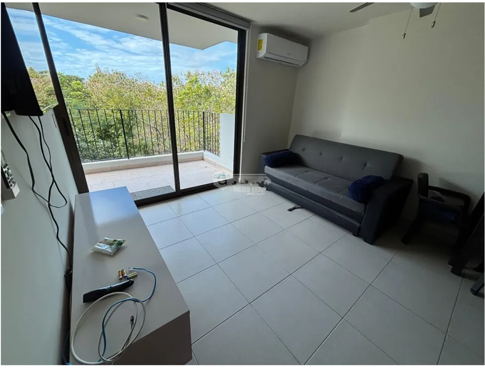 Apartment for rent in San Carlos