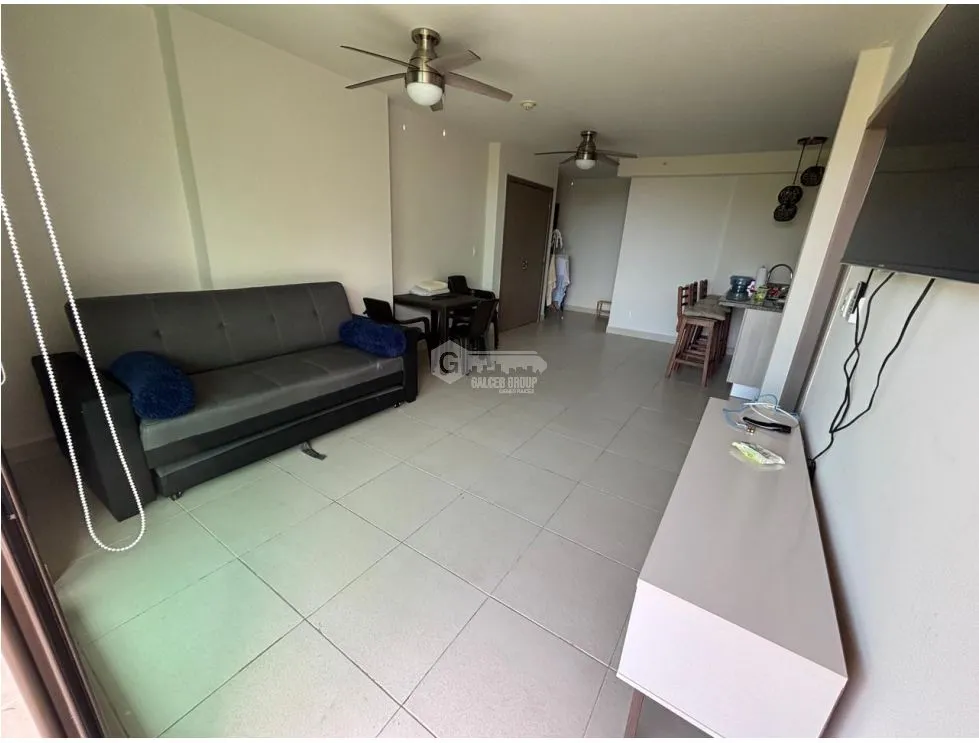 Appartement à San Carlos à louer