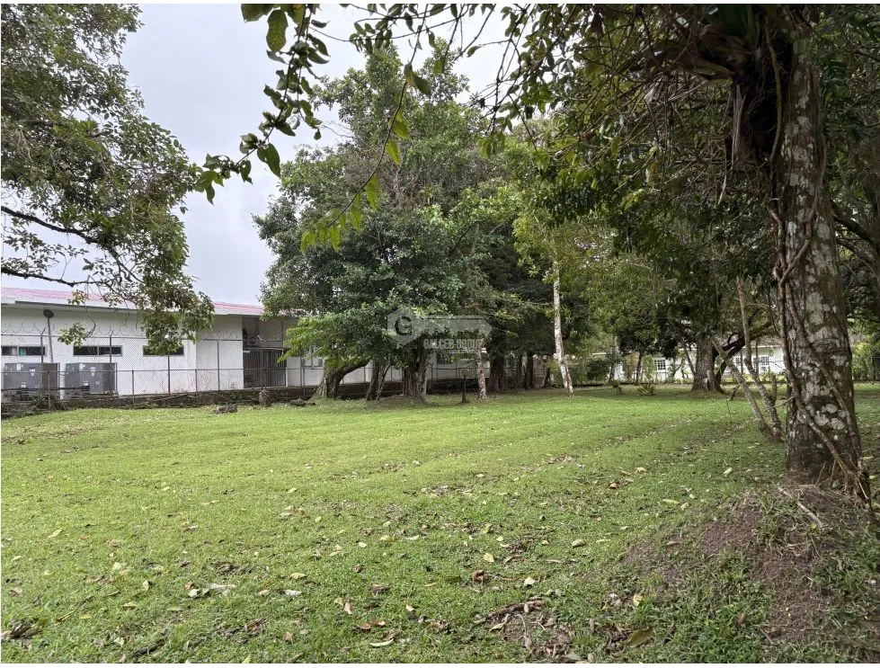 COCLE / EL VALLE / ANTON / 2086 M / TOPOGRAFIA PLANA / AG