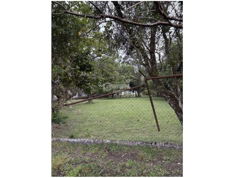 COCLE / EL VALLE / ANTON / 2086 M / TOPOGRAFIA PLANA / AG