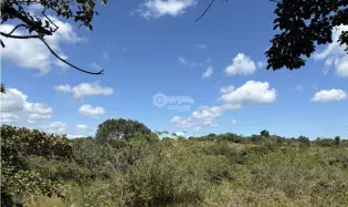 Building Lot for sale in San Carlos