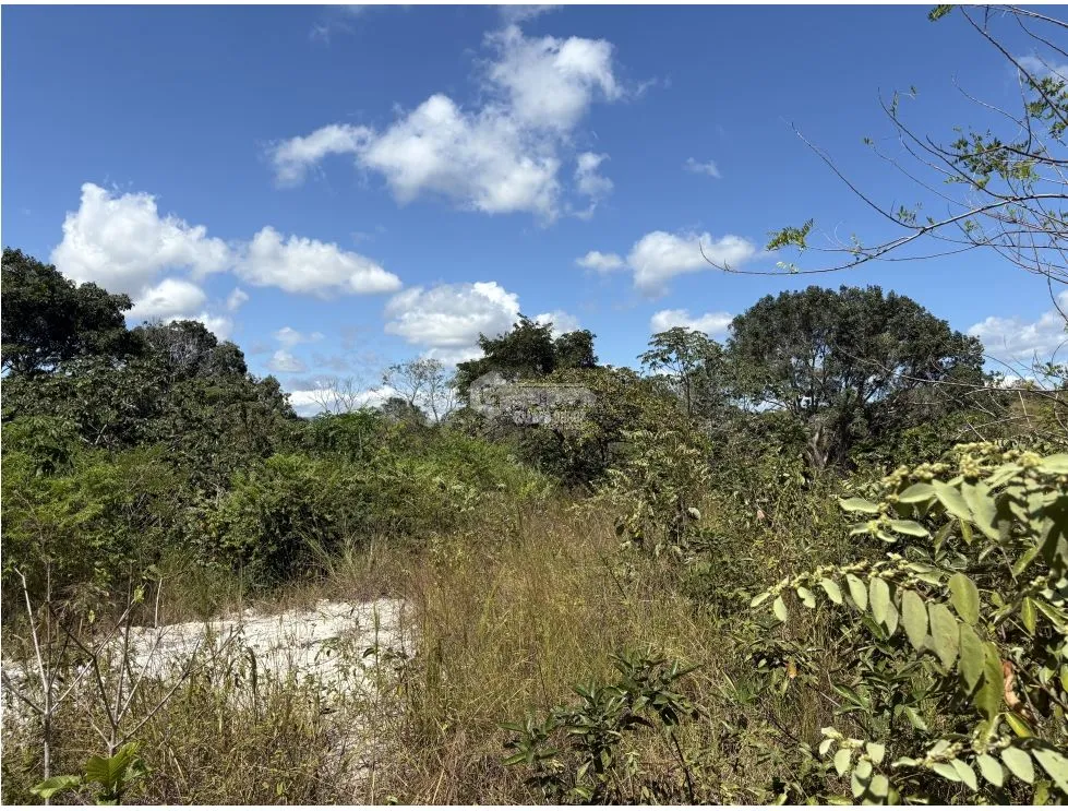 Building Lot for sale in San Carlos