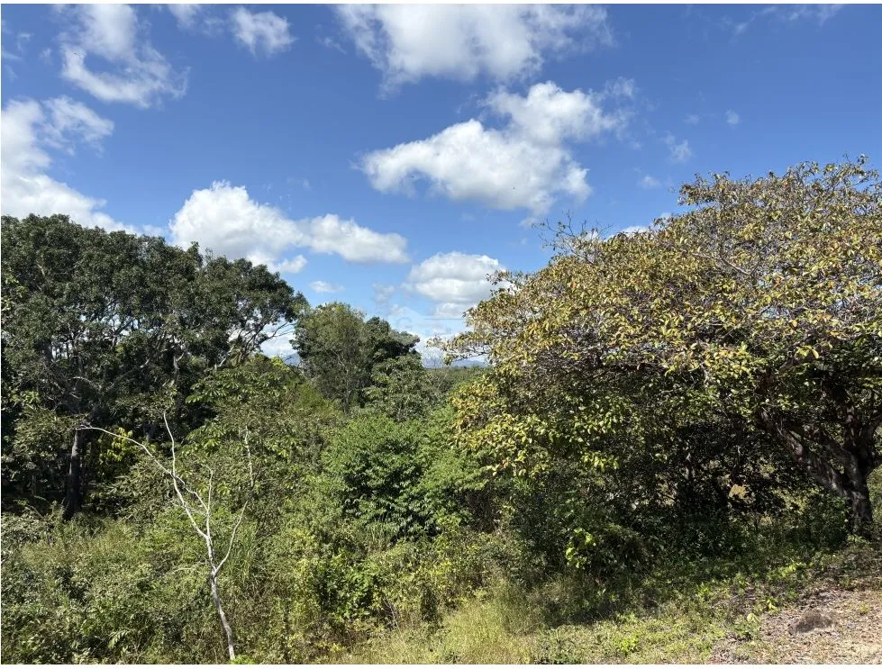 Building Lot for sale in San Carlos