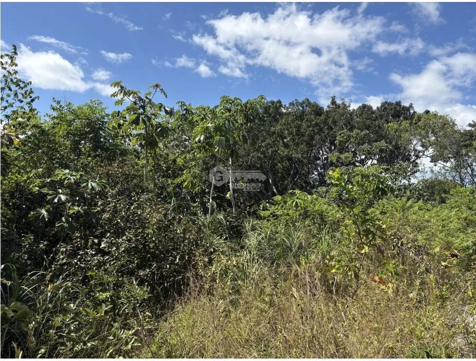 Building Lot for sale in San Carlos