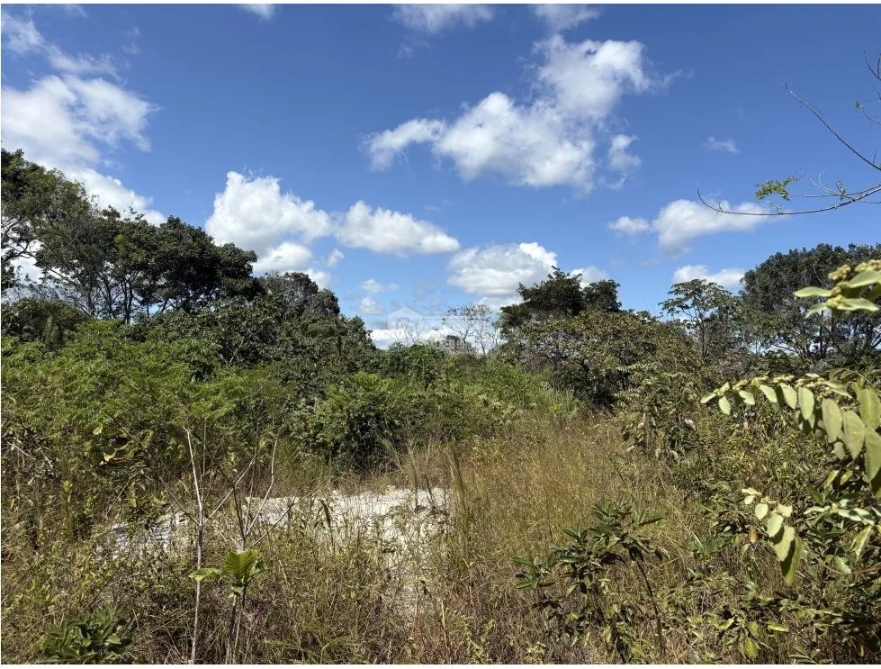 Building Lot for sale in San Carlos