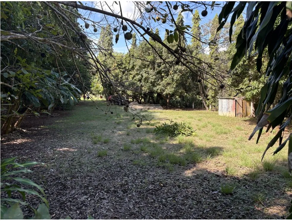 SAN CARLOS / EL ESPINO / 1744 M / TERRENO PLANO / CERCA DE PLAYA / AG