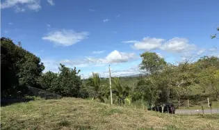 Building Lot for sale in San Carlos