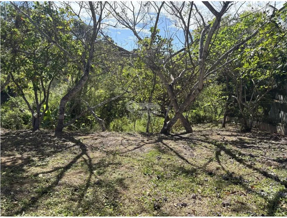 Building Lot for sale in San Carlos