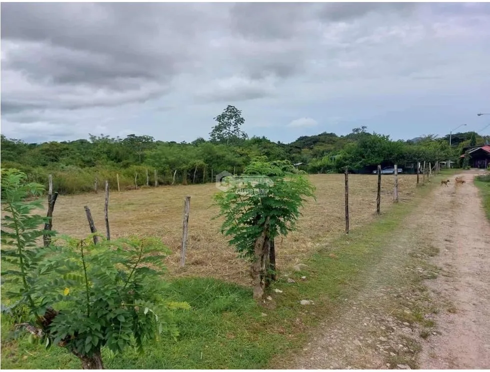 PENONOME / SANTA MARIA / 1050 M / PLANO / CERCA DE RIO / AG