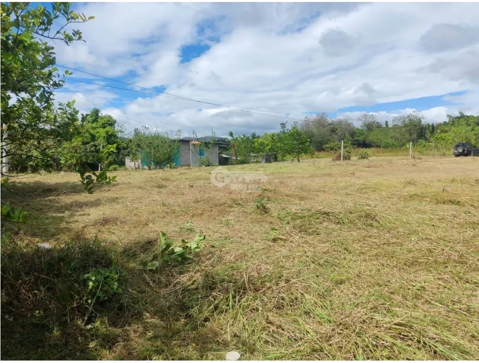 PENONOME / SANTA MARIA / 1050 M / PLANO / CERCA DE RIO / AG