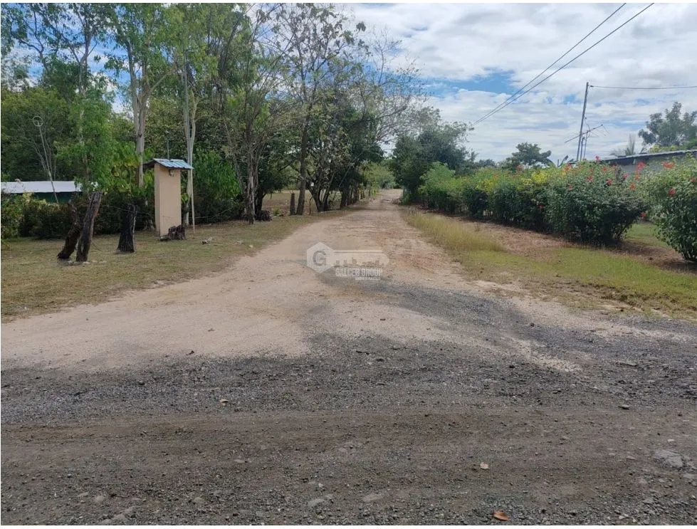 PENONOME / SANTA MARIA / 1050 M / PLANO / CERCA DE RIO / AG