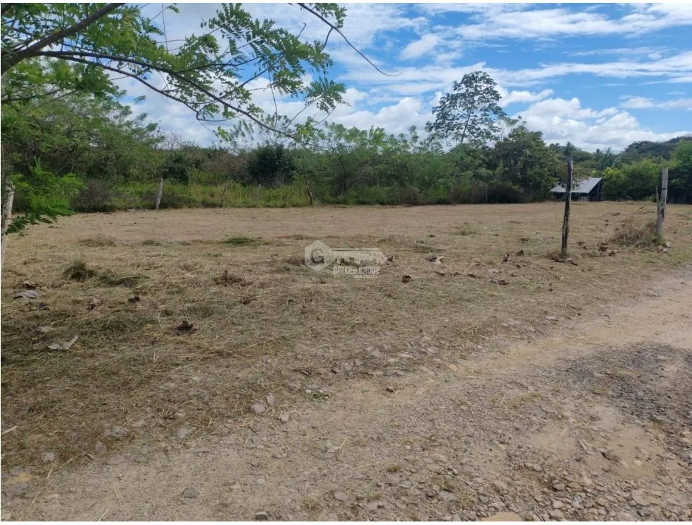 PENONOME / SANTA MARIA / 1050 M / PLANO / CERCA DE RIO / AG