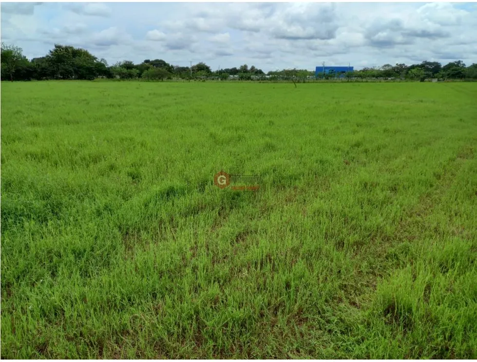 LA MESA DE VERAGUAS / COMMERCIAL LAND / 15000M / INTER-AMERICAN HIGHWAY