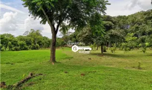 Terre / Ferme à Chame à vendre
