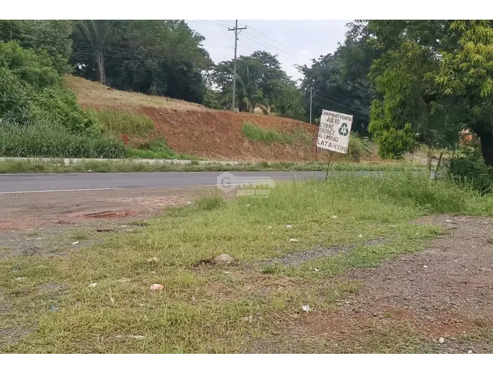 COMMERCIAL LAND / CHORRERA / 7874 M2 / ON INTERAMERICAN HIGHWAY
