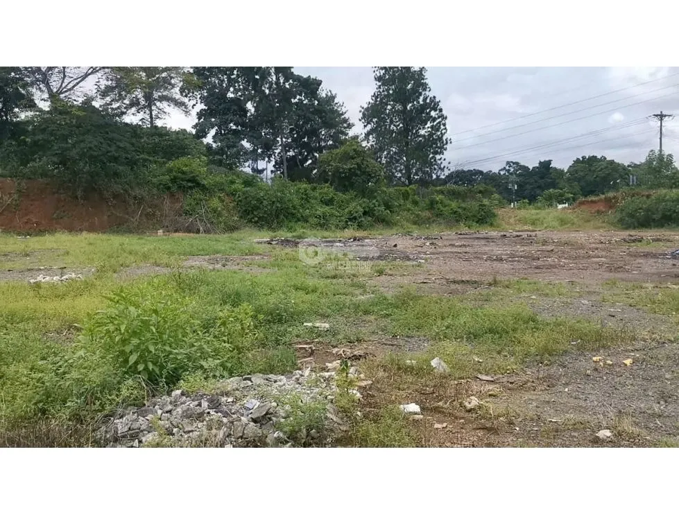 COMMERCIAL LAND / CHORRERA / 7874 M2 / ON INTERAMERICAN HIGHWAY
