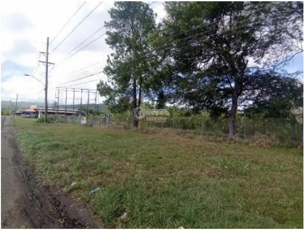 CAPIRA / 6 HECTAREAS / VIA INTERAMERICANA / CON PROYECTO APROBADO