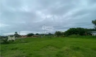 SE VENDE TERRENO PLANO 2146M EN PENONOME FRENTE A VIA INTERAMERICANA